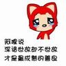宠物健康知识偶像