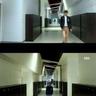 宠物医生基本知识