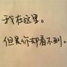宠物知识 翻译英语