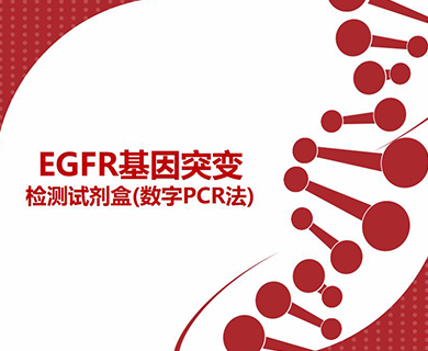 EGFR基因突变检测试剂盒(数字PCR法）